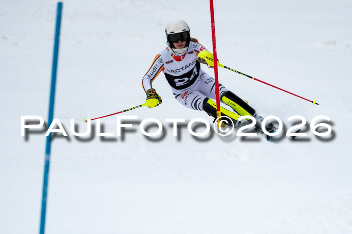 FIS Slalom + NJC Damen + FIS Herren 13.02.2026