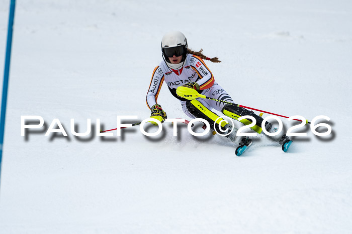 FIS Slalom + NJC Damen + FIS Herren 13.02.2026