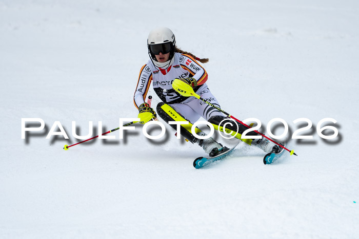 FIS Slalom + NJC Damen + FIS Herren 13.02.2026