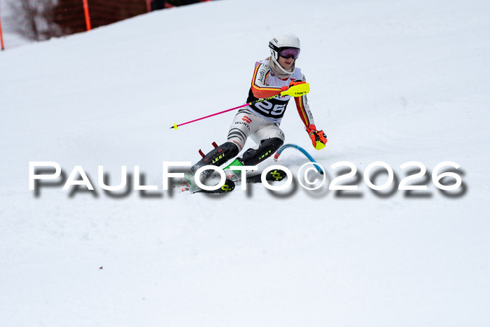 FIS Slalom + NJC Damen + FIS Herren 13.02.2026