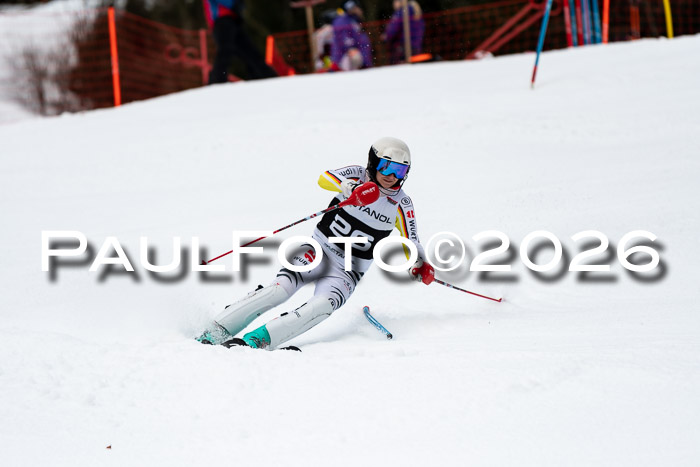 FIS Slalom + NJC Damen + FIS Herren 13.02.2026