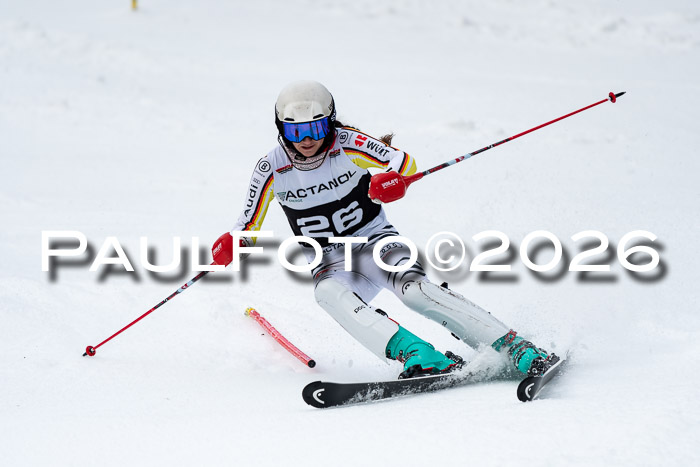 FIS Slalom + NJC Damen + FIS Herren 13.02.2026