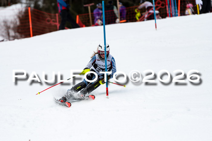 FIS Slalom + NJC Damen + FIS Herren 13.02.2026