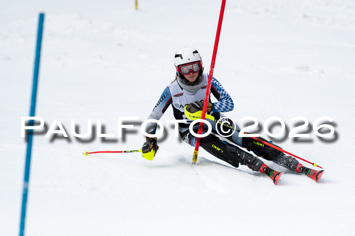FIS Slalom + NJC Damen + FIS Herren 13.02.2026