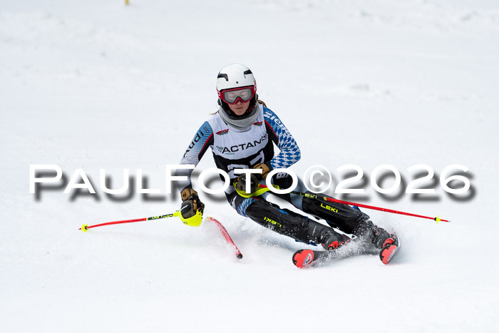 FIS Slalom + NJC Damen + FIS Herren 13.02.2026