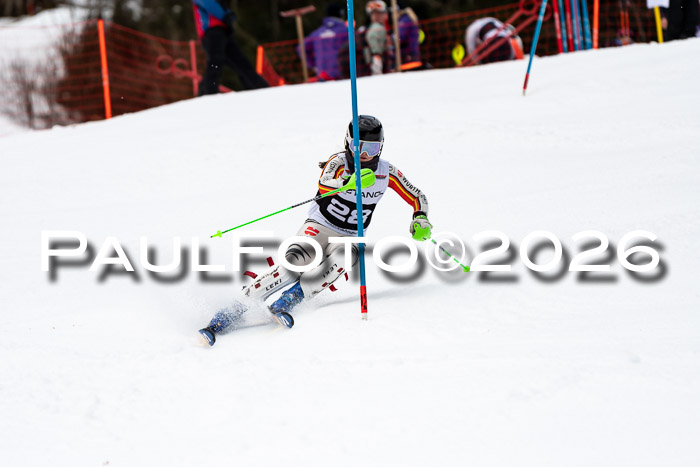 FIS Slalom + NJC Damen + FIS Herren 13.02.2026