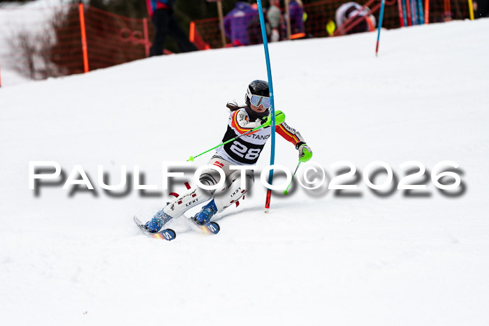 FIS Slalom + NJC Damen + FIS Herren 13.02.2026