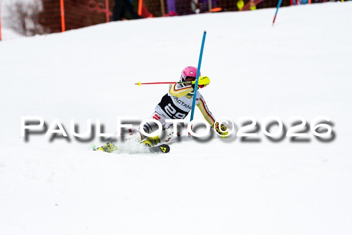 FIS Slalom + NJC Damen + FIS Herren 13.02.2026