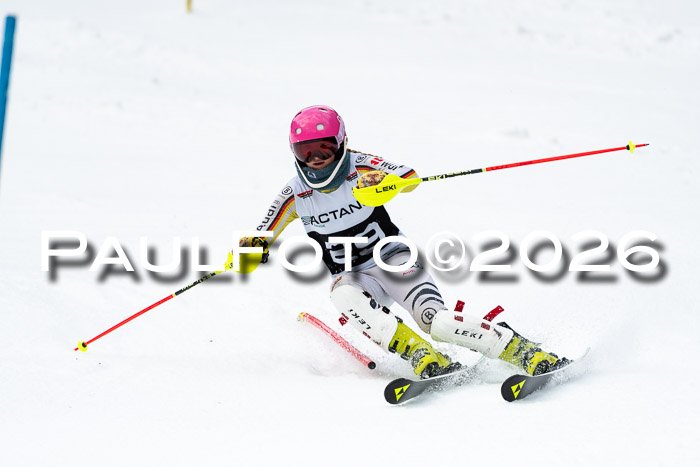 FIS Slalom + NJC Damen + FIS Herren 13.02.2026