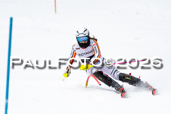 FIS Slalom + NJC Damen + FIS Herren 13.02.2026