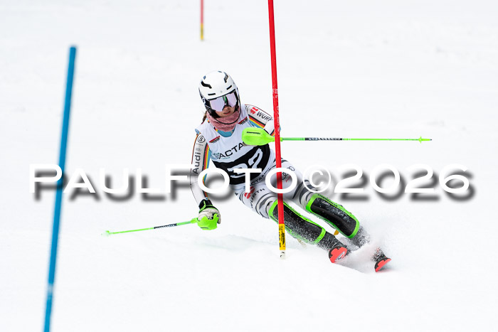 FIS Slalom + NJC Damen + FIS Herren 13.02.2026