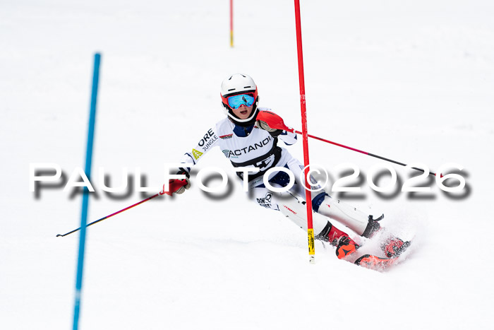 FIS Slalom + NJC Damen + FIS Herren 13.02.2026