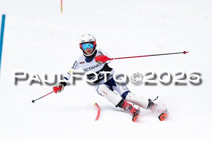 FIS Slalom + NJC Damen + FIS Herren 13.02.2026