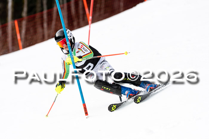 FIS Slalom + NJC Damen + FIS Herren 13.02.2026