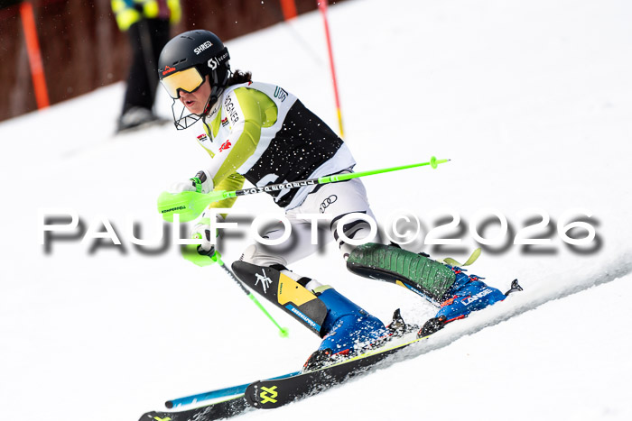 FIS Slalom + NJC Damen + FIS Herren 13.02.2026