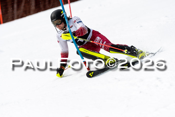 FIS Slalom + NJC Damen + FIS Herren 13.02.2026