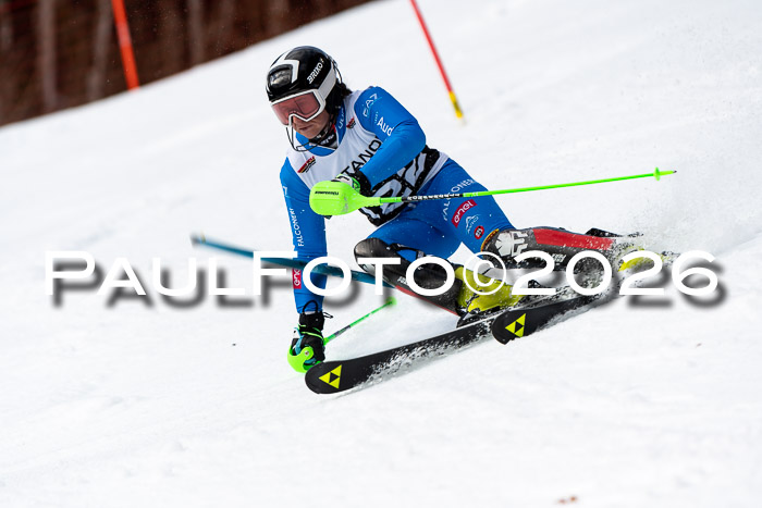 FIS Slalom + NJC Damen + FIS Herren 13.02.2026