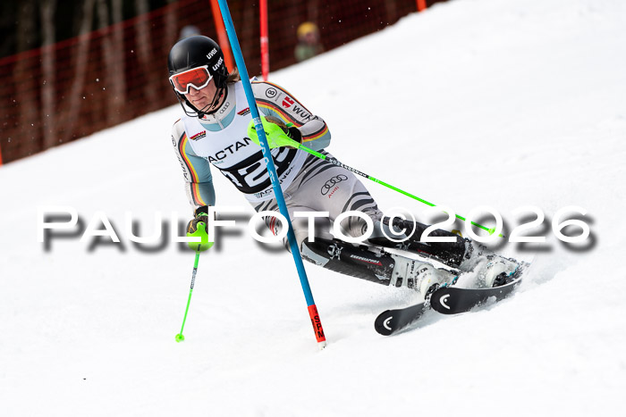 FIS Slalom + NJC Damen + FIS Herren 13.02.2026