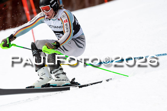 FIS Slalom + NJC Damen + FIS Herren 13.02.2026