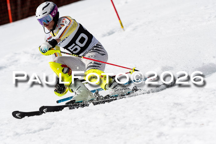 FIS Slalom + NJC Damen + FIS Herren 13.02.2026