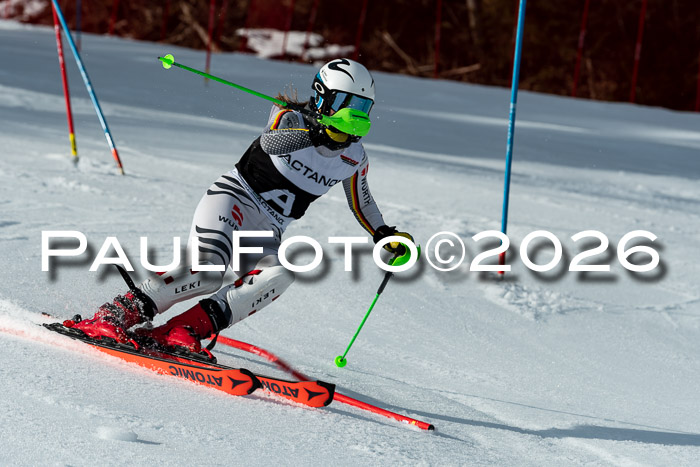 FIS Slalom + NJC Damen + FIS Herren 13.02.2026