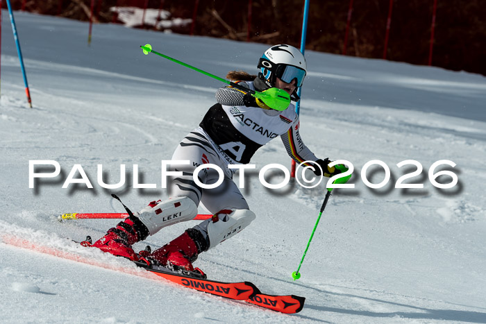 FIS Slalom + NJC Damen + FIS Herren 13.02.2026