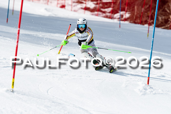FIS Slalom + NJC Damen + FIS Herren 13.02.2026