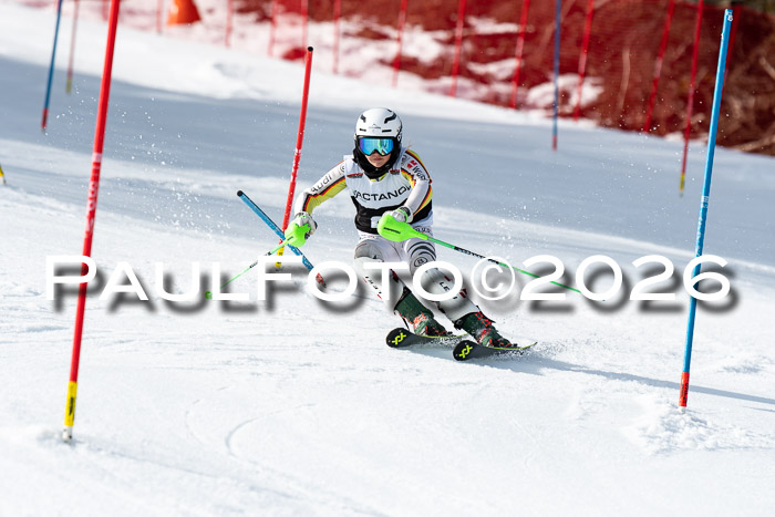 FIS Slalom + NJC Damen + FIS Herren 13.02.2026