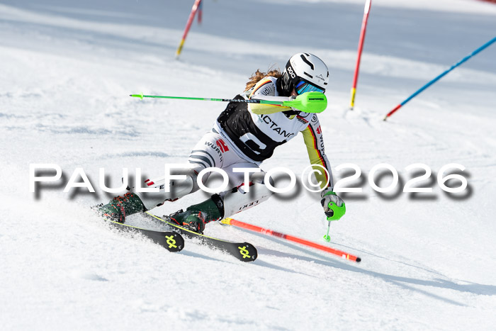 FIS Slalom + NJC Damen + FIS Herren 13.02.2026