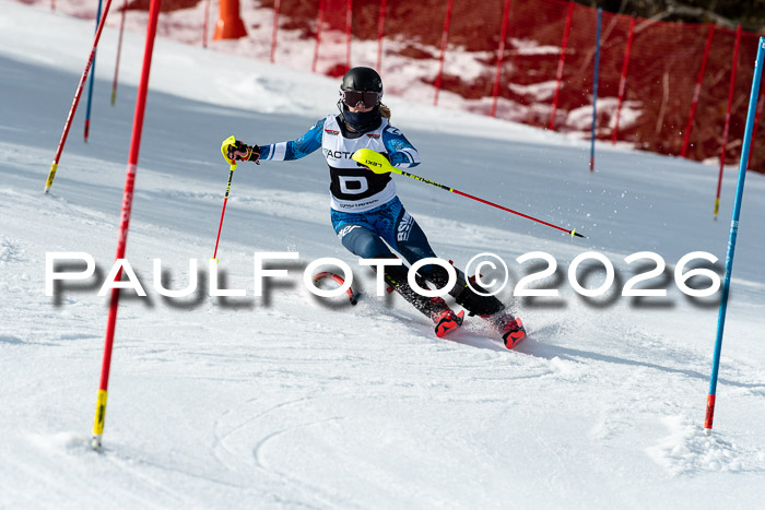 FIS Slalom + NJC Damen + FIS Herren 13.02.2026