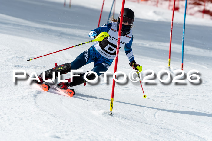 FIS Slalom + NJC Damen + FIS Herren 13.02.2026