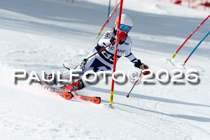 FIS Slalom + NJC Damen + FIS Herren 13.02.2026