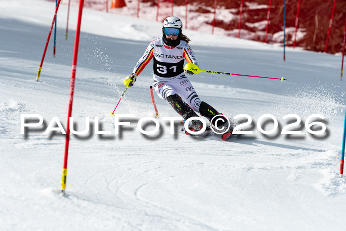 FIS Slalom + NJC Damen + FIS Herren 13.02.2026