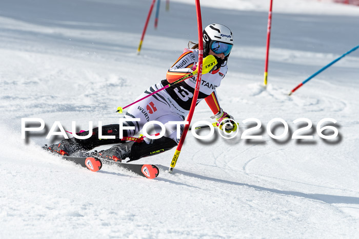 FIS Slalom + NJC Damen + FIS Herren 13.02.2026