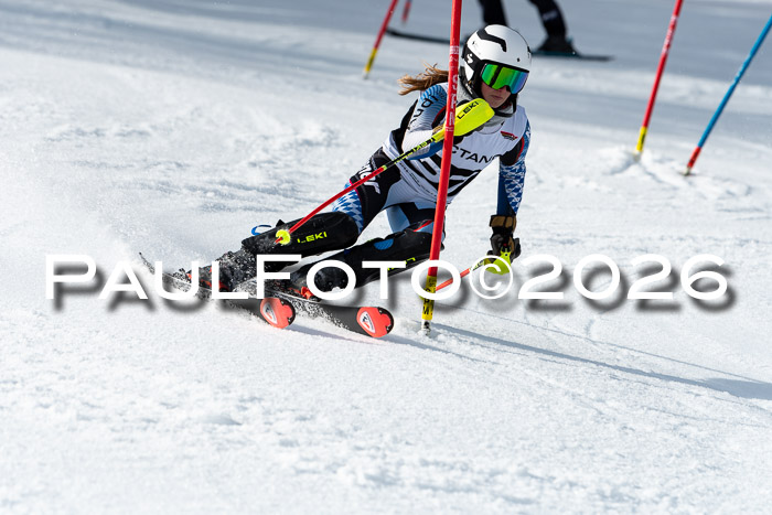 FIS Slalom + NJC Damen + FIS Herren 13.02.2026