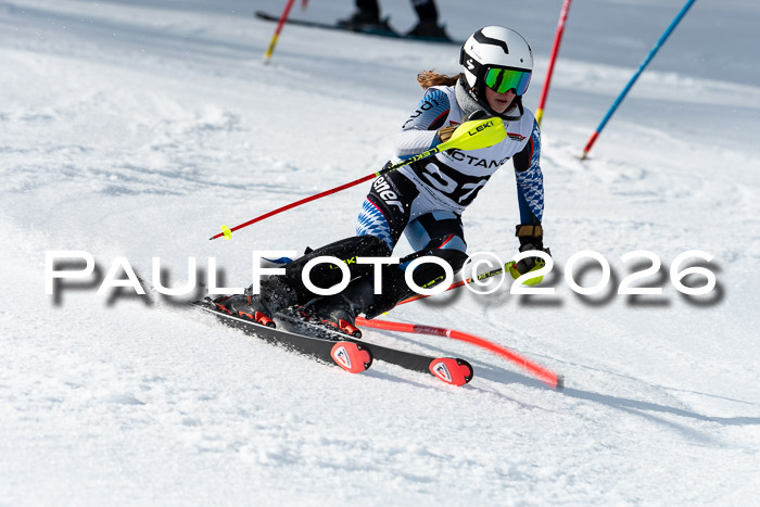 FIS Slalom + NJC Damen + FIS Herren 13.02.2026