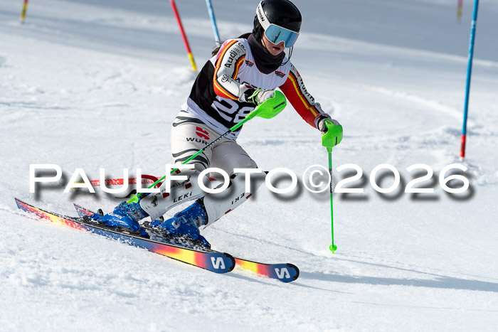 FIS Slalom + NJC Damen + FIS Herren 13.02.2026