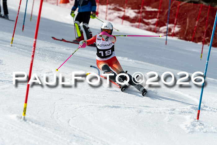 FIS Slalom + NJC Damen + FIS Herren 13.02.2026