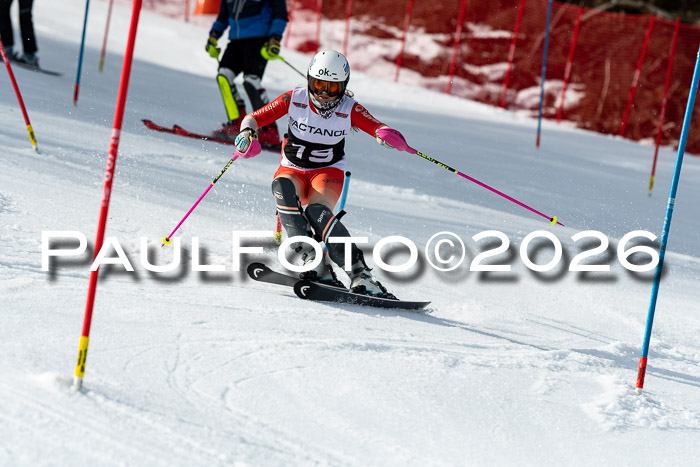 FIS Slalom + NJC Damen + FIS Herren 13.02.2026