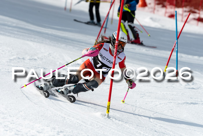 FIS Slalom + NJC Damen + FIS Herren 13.02.2026