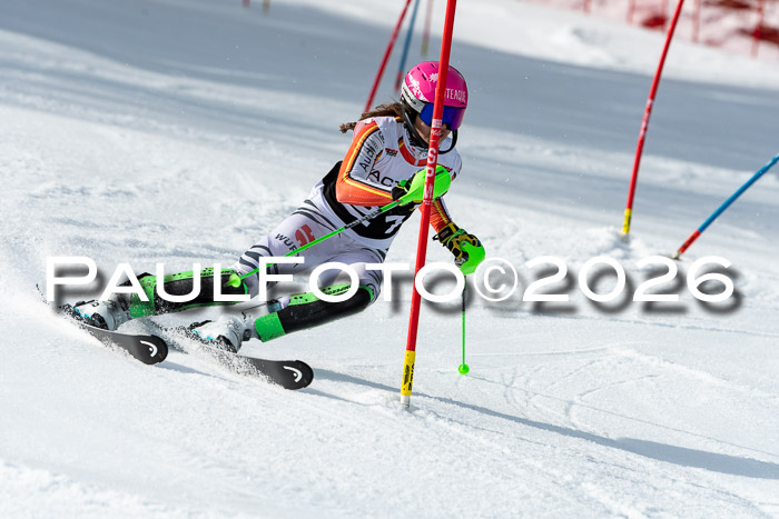 FIS Slalom + NJC Damen + FIS Herren 13.02.2026