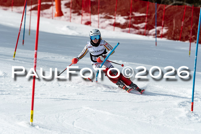 FIS Slalom + NJC Damen + FIS Herren 13.02.2026
