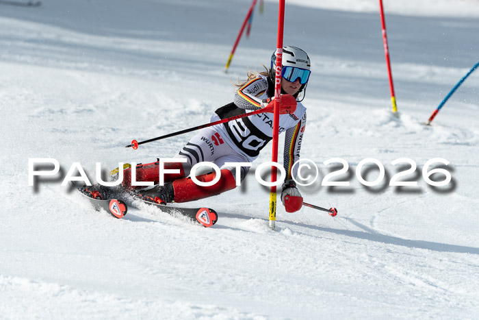 FIS Slalom + NJC Damen + FIS Herren 13.02.2026