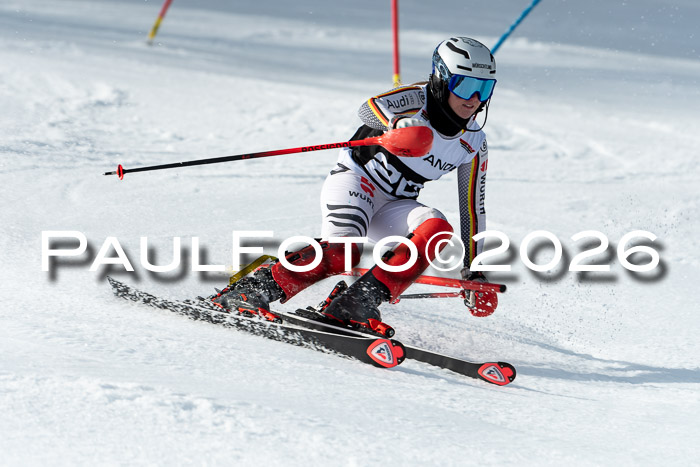 FIS Slalom + NJC Damen + FIS Herren 13.02.2026