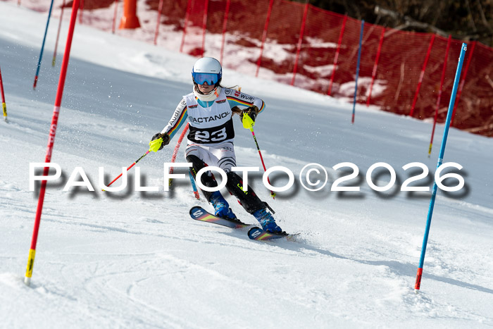 FIS Slalom + NJC Damen + FIS Herren 13.02.2026