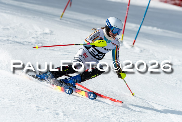 FIS Slalom + NJC Damen + FIS Herren 13.02.2026