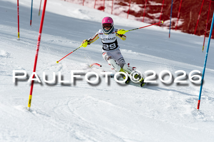 FIS Slalom + NJC Damen + FIS Herren 13.02.2026