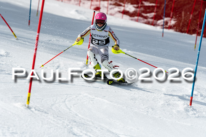 FIS Slalom + NJC Damen + FIS Herren 13.02.2026