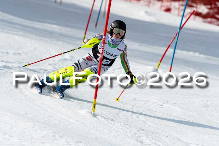 FIS Slalom + NJC Damen + FIS Herren 13.02.2026