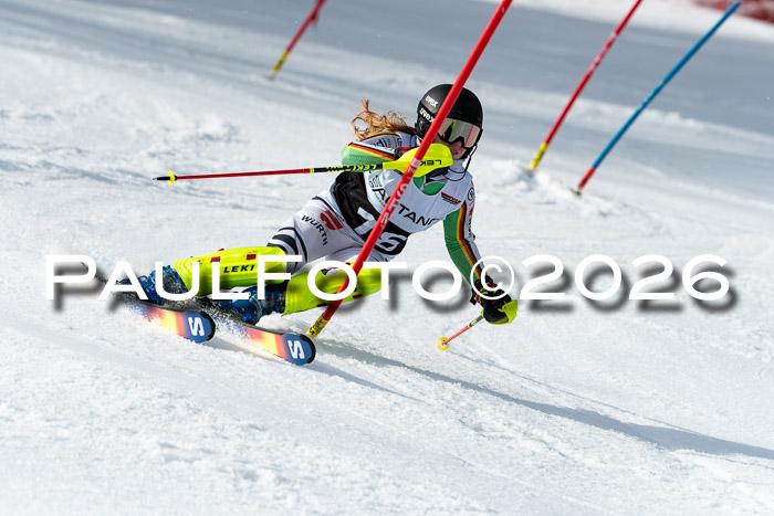 FIS Slalom + NJC Damen + FIS Herren 13.02.2026